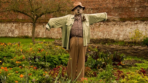 A scarecrow in the middle of a flower and vegetable bed in the garden at Calke Abbey.